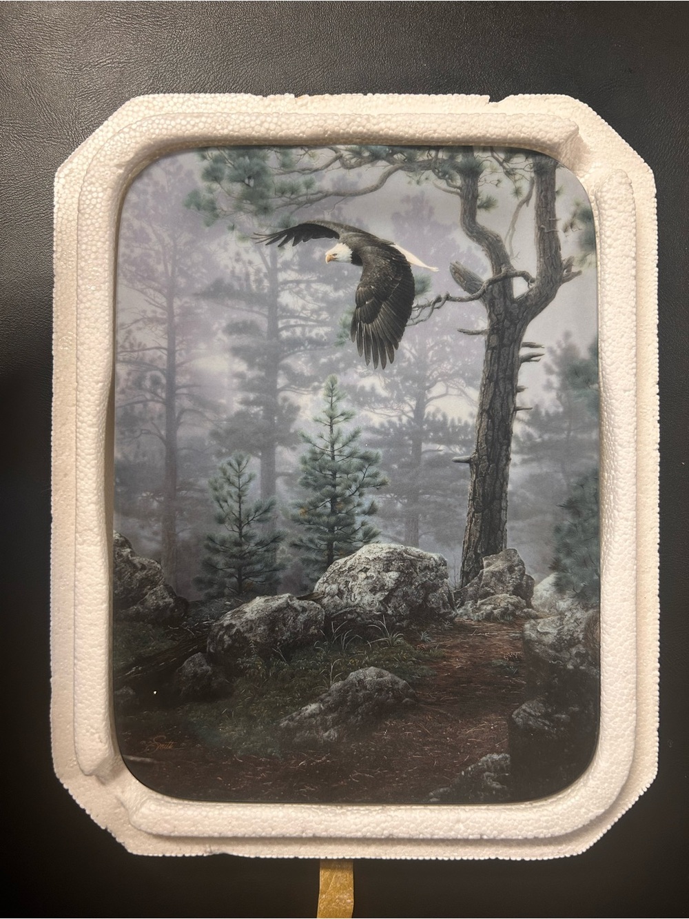 Natures Harmony Plate Daniel Smith Authentic with Certificate